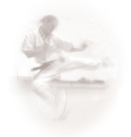 Kickboxing & Kung Fu Syllabus